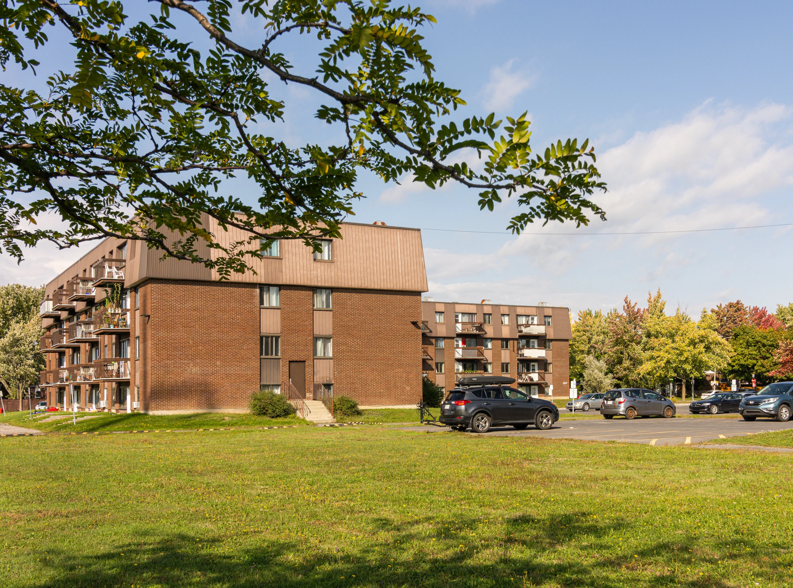 Image non trouvée !